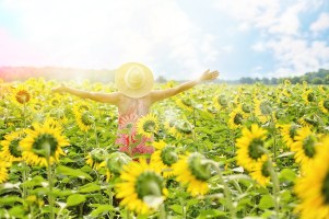 sunflowers-3640938_1281